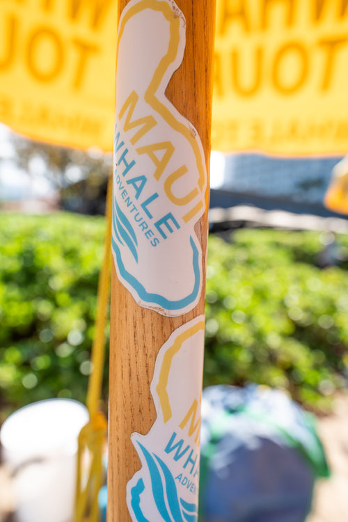 Maui Whale Adventures Die-Cut Sticker (4” × 3”)